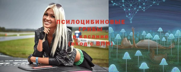 дживик Горняк