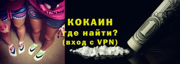 дживик Горняк