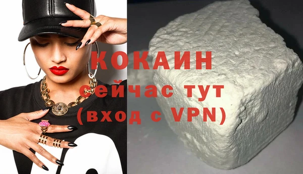 дживик Горняк