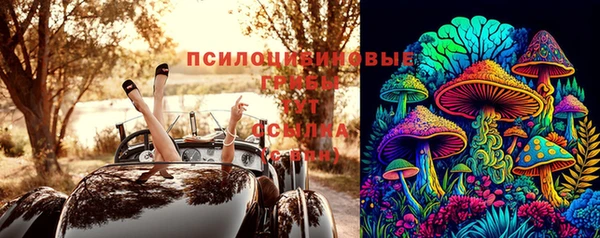 дживик Горняк